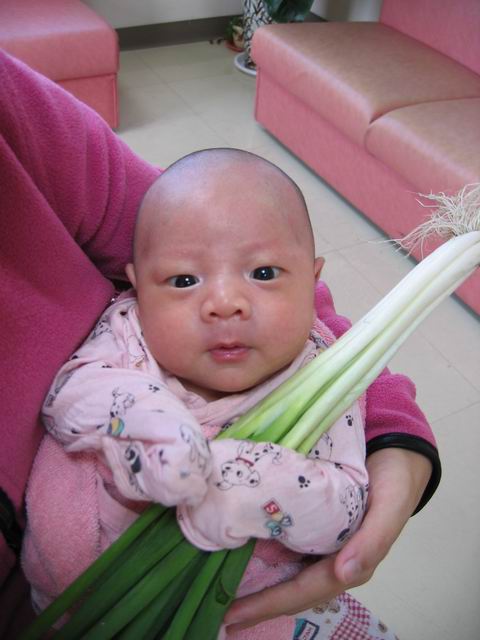 forum_wed_life_63472.jpg