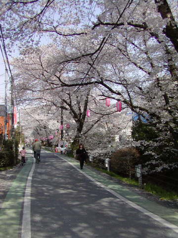 forum_wed_life_84081.jpg