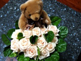 forum_user_exchange_455922.jpg