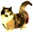 forum_wed_life_99173.jpg