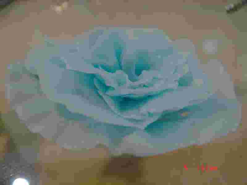 forum_user_exchange_496878.jpg