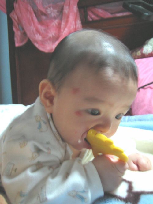 forum_wed_life_201393.jpg