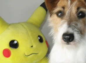 forum_user_exchange_635383.gif