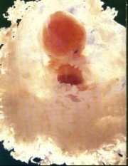 forum_wed_life_286254.jpg