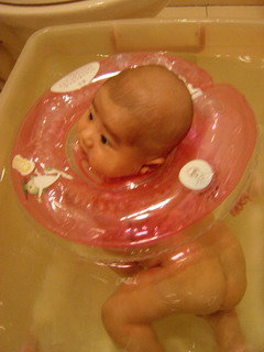 forum_wed_life_300750.jpg