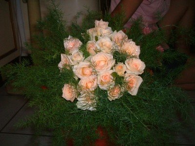 拍照那天,我带了二束花过去.一束是香槟色玫瑰.一束是粉红色菊花.图片