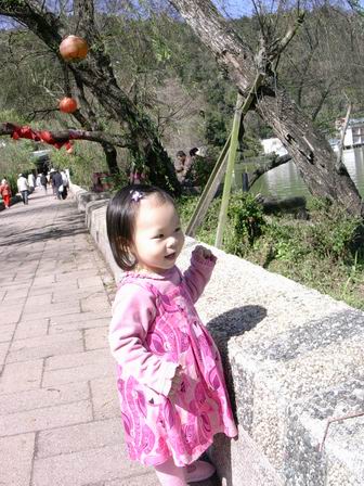forum_wed_life_384794.jpg