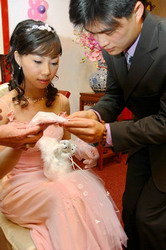 forum_user_exchange_878161.jpg