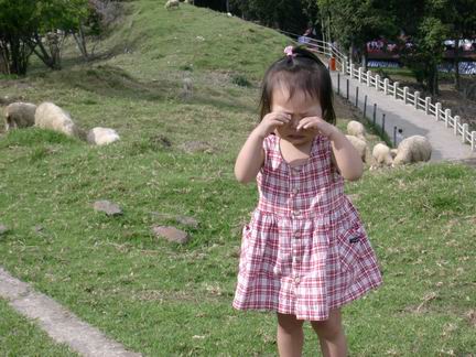 forum_wed_life_418753.jpg