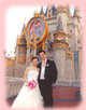 forum_wed_life_420102.jpg