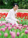 鬱金香花海再一張