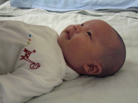 forum_wed_life_465811.jpg