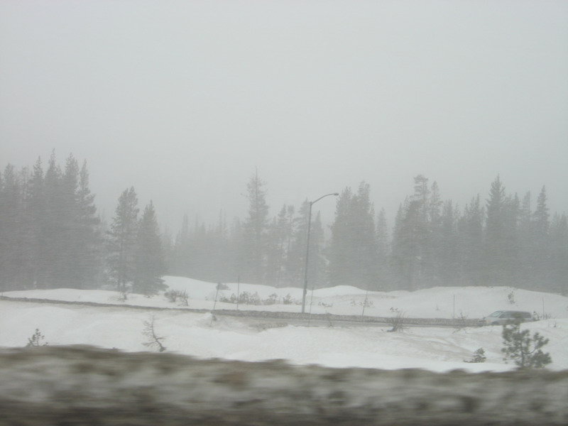 1167382867_d611d566a25fb4a9bba283865f5c23fe.jpg