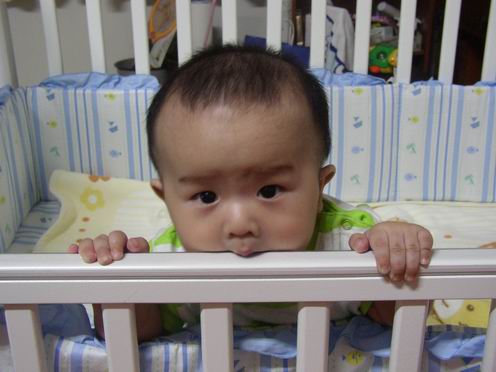 分享七个月<em>大MM</em>的<em>照片</em>-第1页-婚后生活讨论区