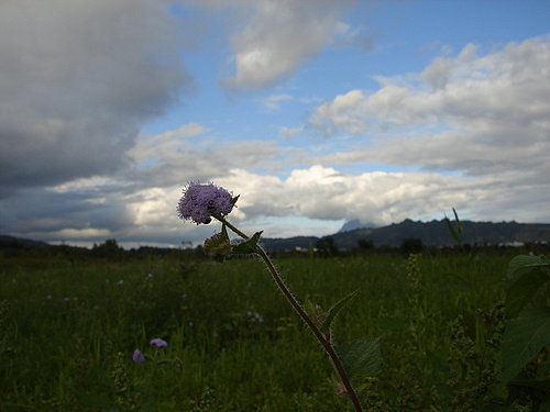 1200843053_d3d2460614a5158b8fc505c4c6a67ca0.jpg