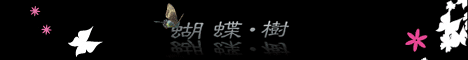 蝴蝶樹婚紗攝影