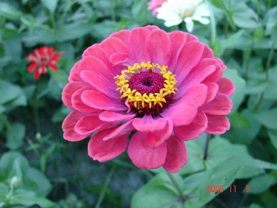 forum_user_exchange_809335.jpg