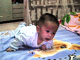 1166079086_9d257327cf4365fde34b6131a1973f03.gif
