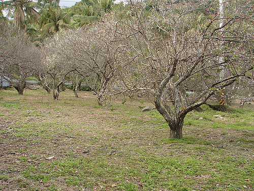 1200842215_3d842dce65b771b01cc9cff43dc6ab71.jpg