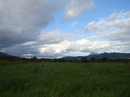 1200842993_1356664e0095cc910f269fd6cfbdbe21.jpg