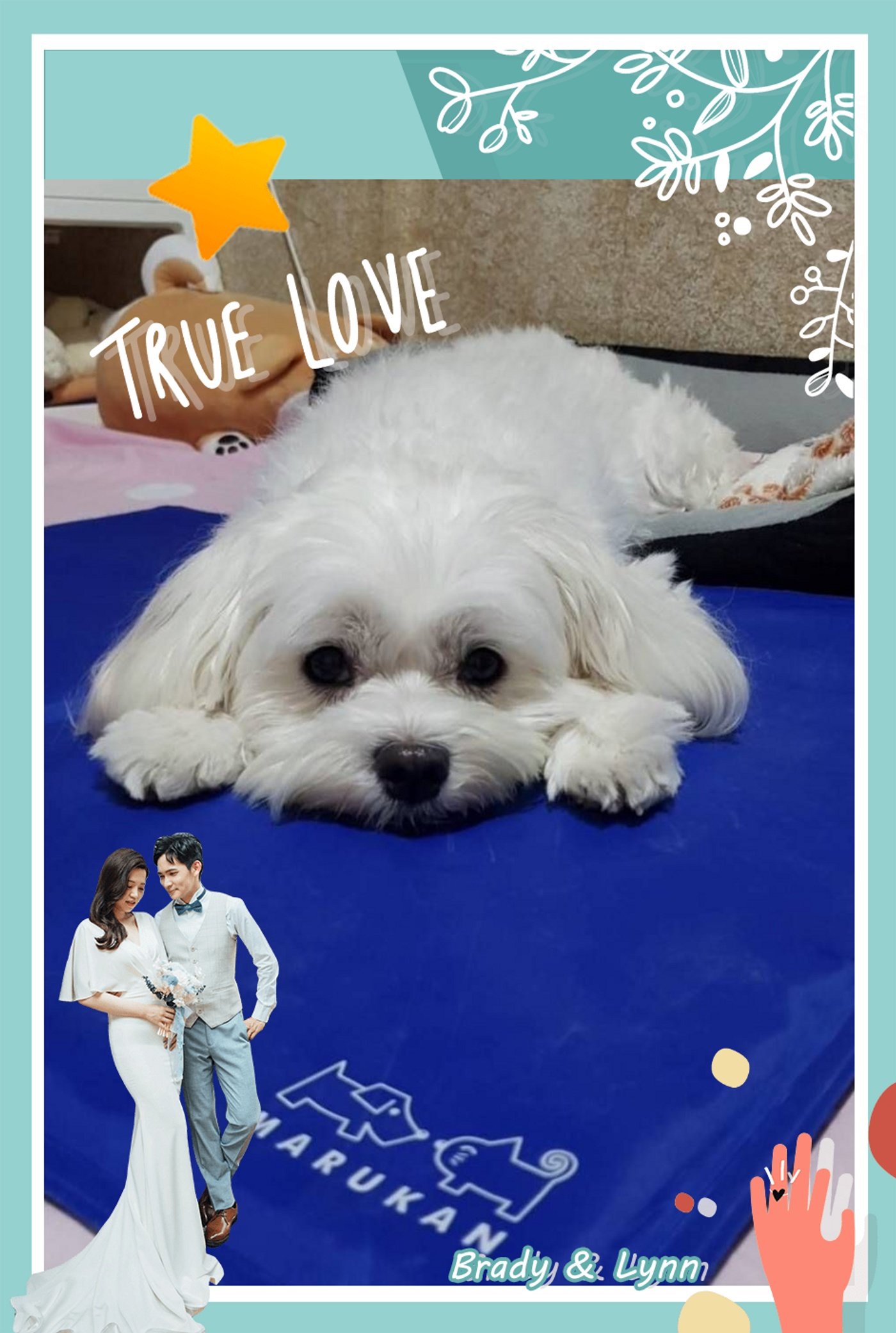 拍拍印_讓婚禮畫龍點睛的最佳助手-婚禮廠商評價