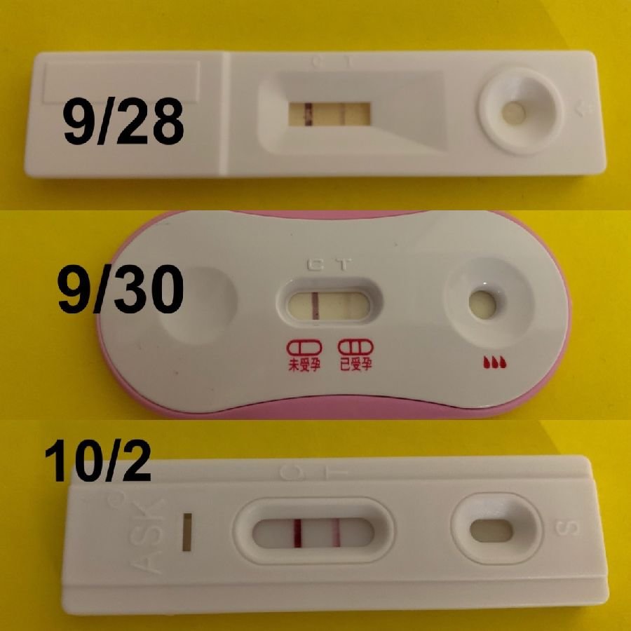 大家都是在幾週照到的呢？驗孕棒兩條線，但是超音波沒照到胚囊，心情好煎熬-婚姻經營