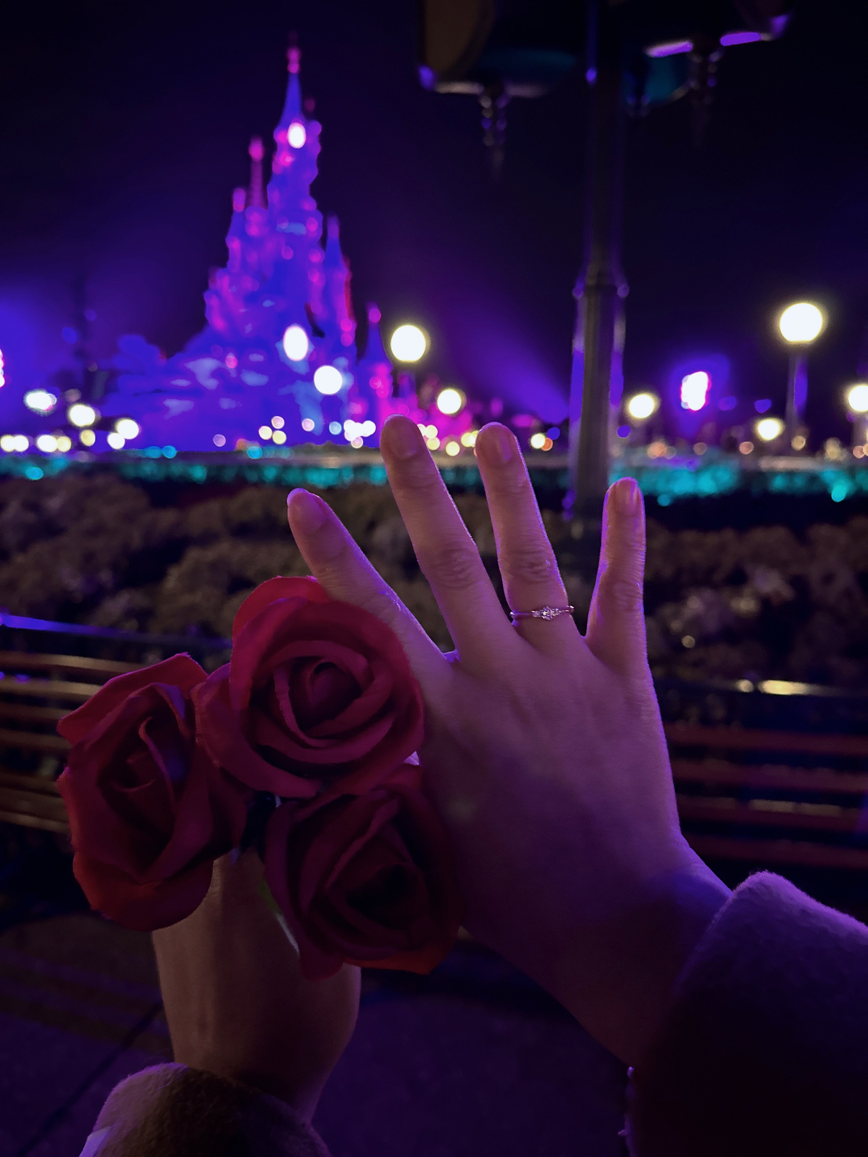 我的幸福時刻迪士尼求婚之旅-WEDDINGCODE葳町釦鑽石婚戒-結婚經驗分享