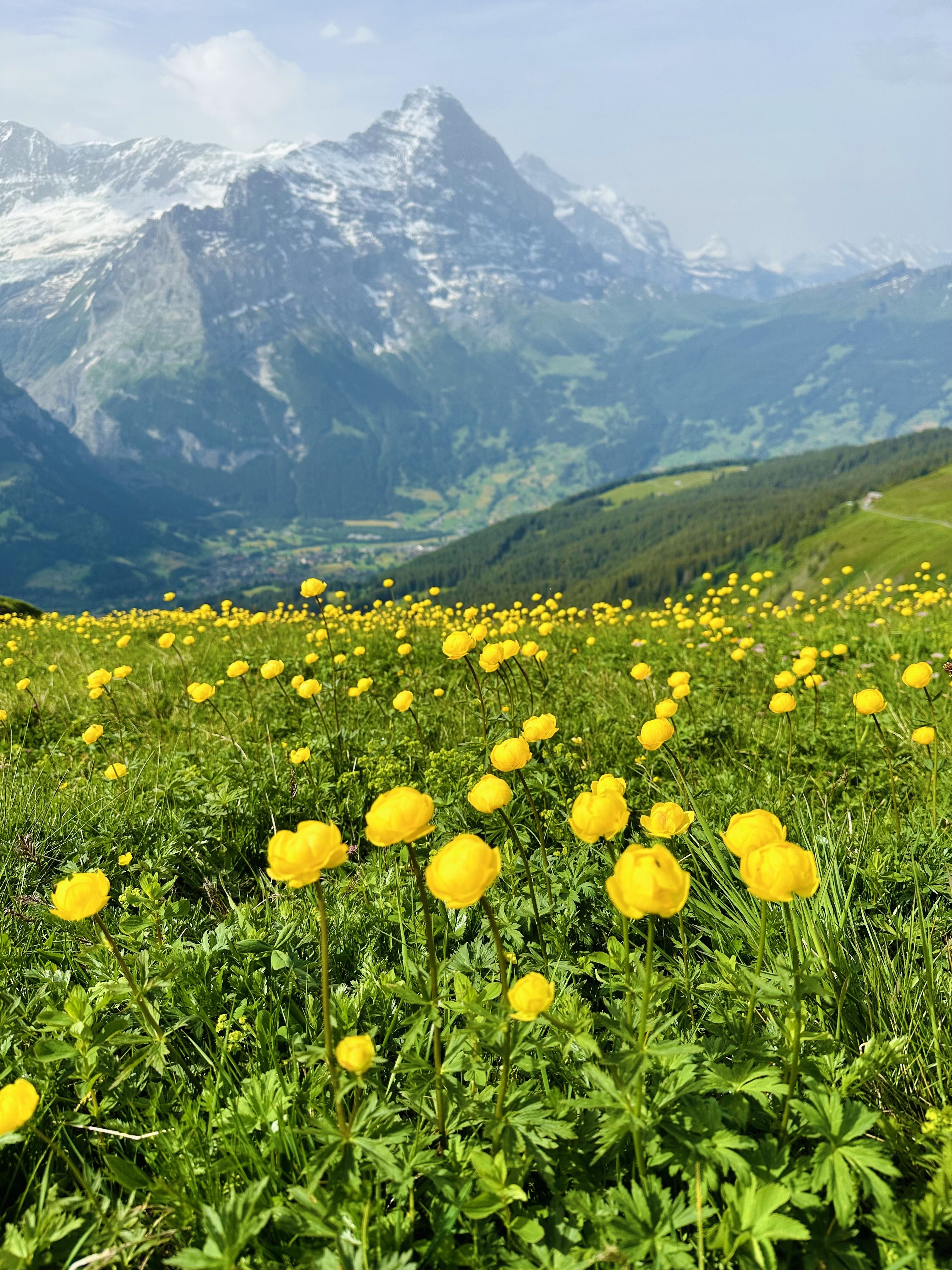 選擇誠真 美夢成真-瑞士鐵道之旅13天-婚禮廠商評價