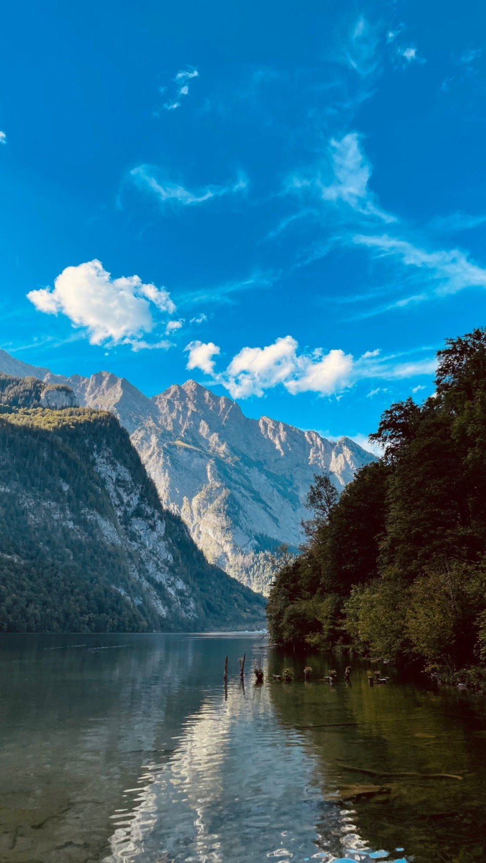 誠真德瑞蜜月旅行大成功！-婚禮廠商評價