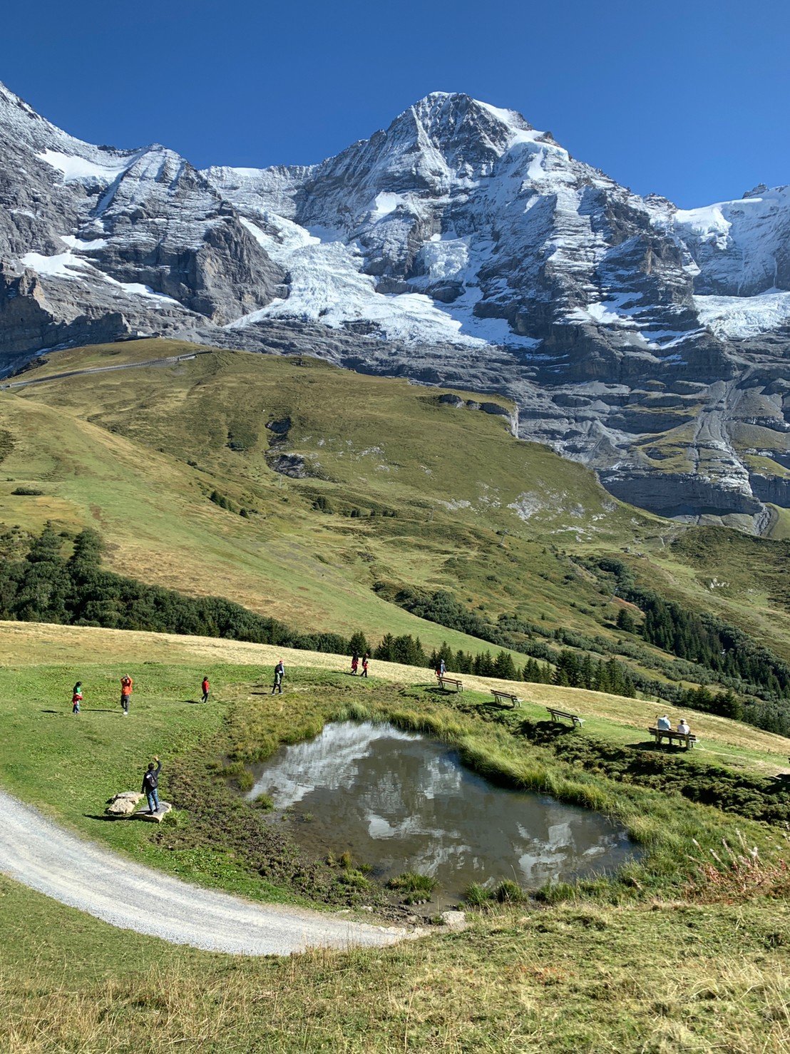 難忘的浪漫回憶－誠真德瑞蜜月（0918-1001業務Dennis、領隊Sam）-婚禮廠商評價