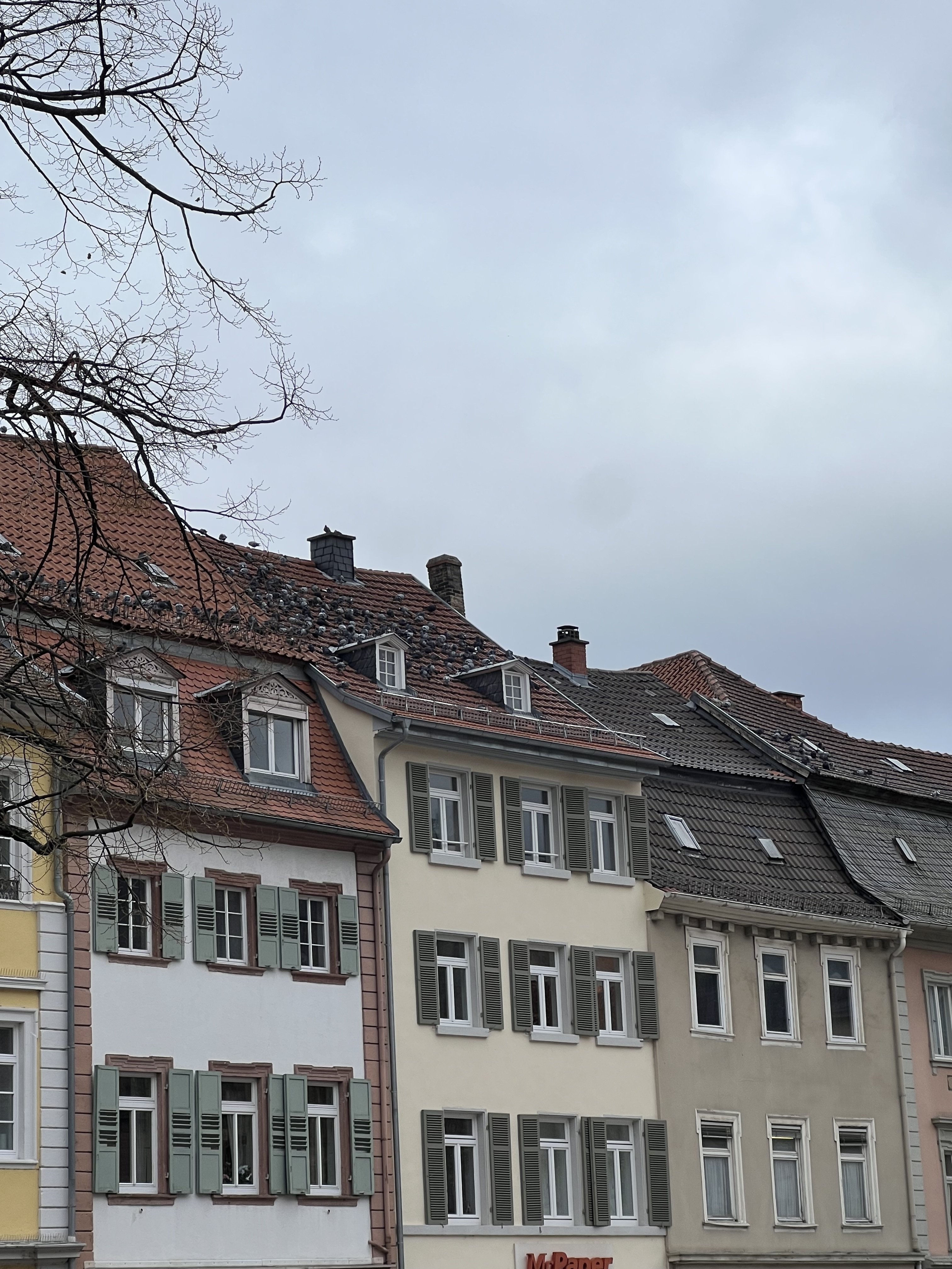 德瑞蜜月行-婚禮廠商評價