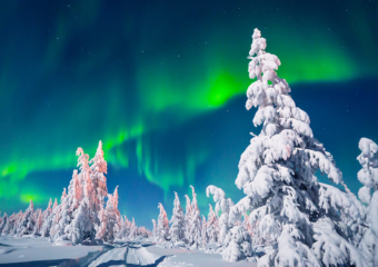 veryWed-single_image