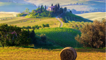 veryWed-single_image