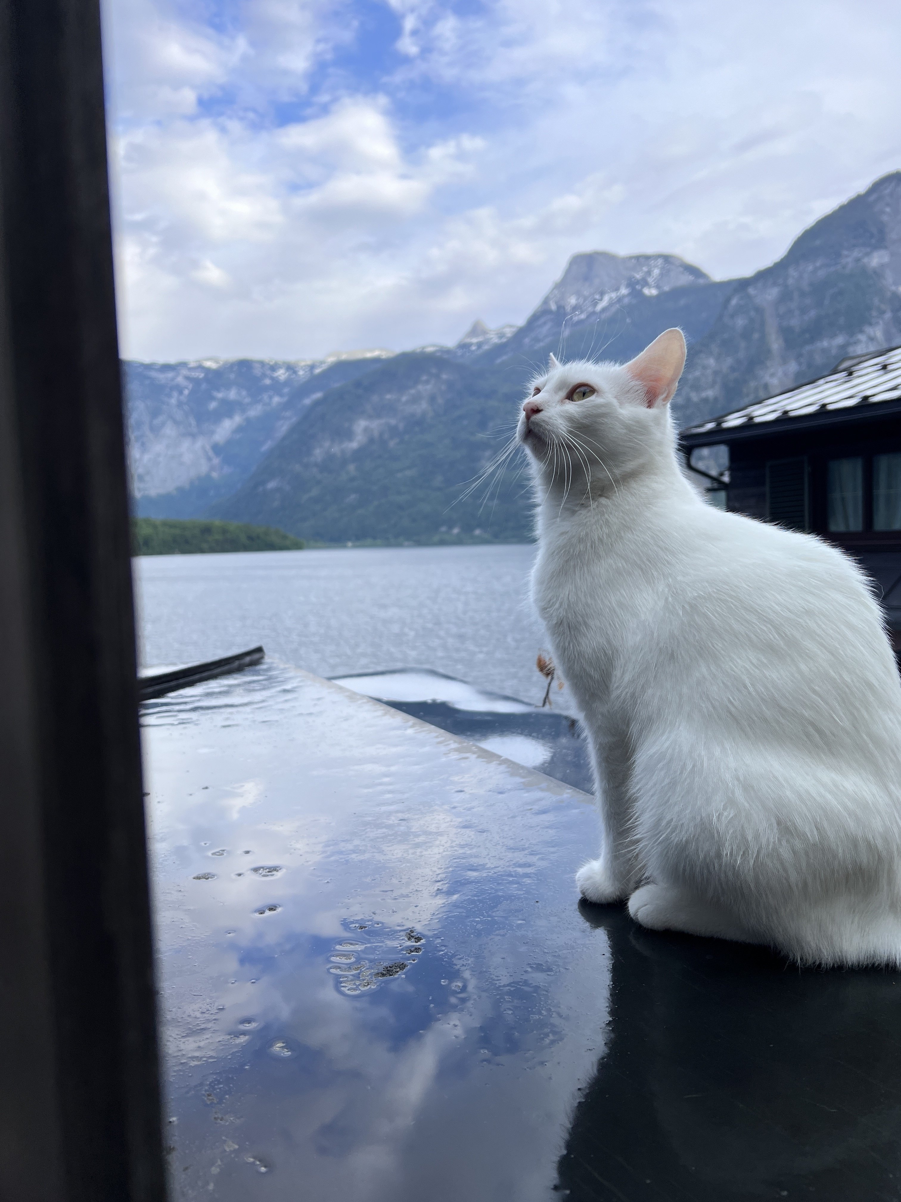 夏戀布拉格浪漫12日～奧捷蜜月分享-婚禮廠商評價