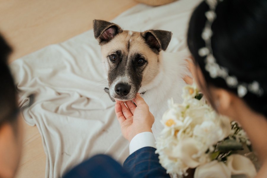 推推唯你婚紗-婚禮廠商評價