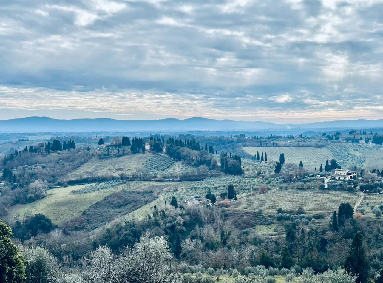華友旅行-義大利蜜月之旅（1/31-2/13)-婚禮廠商評價