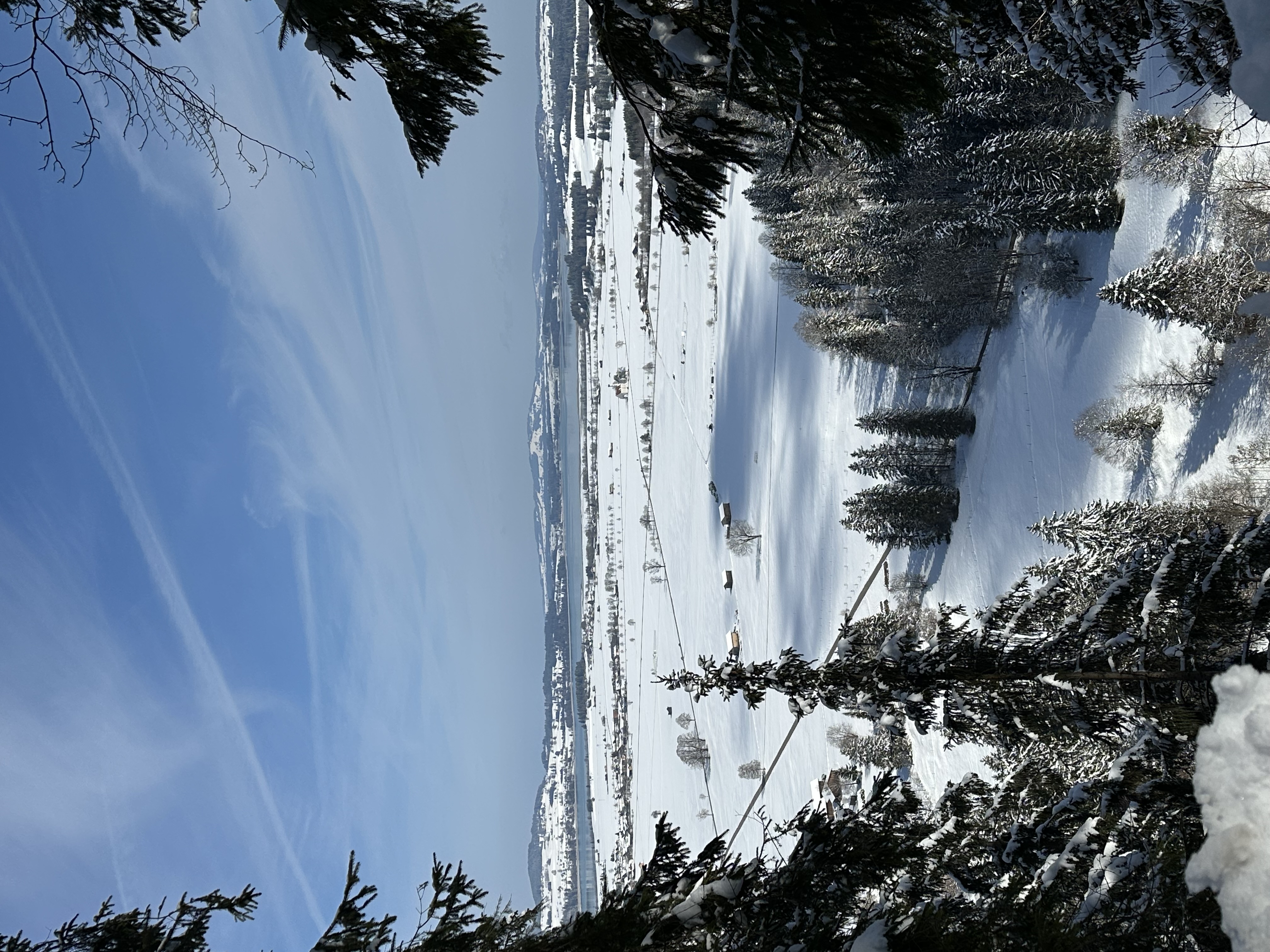 瑞士德國蜜月旅-婚禮廠商評價