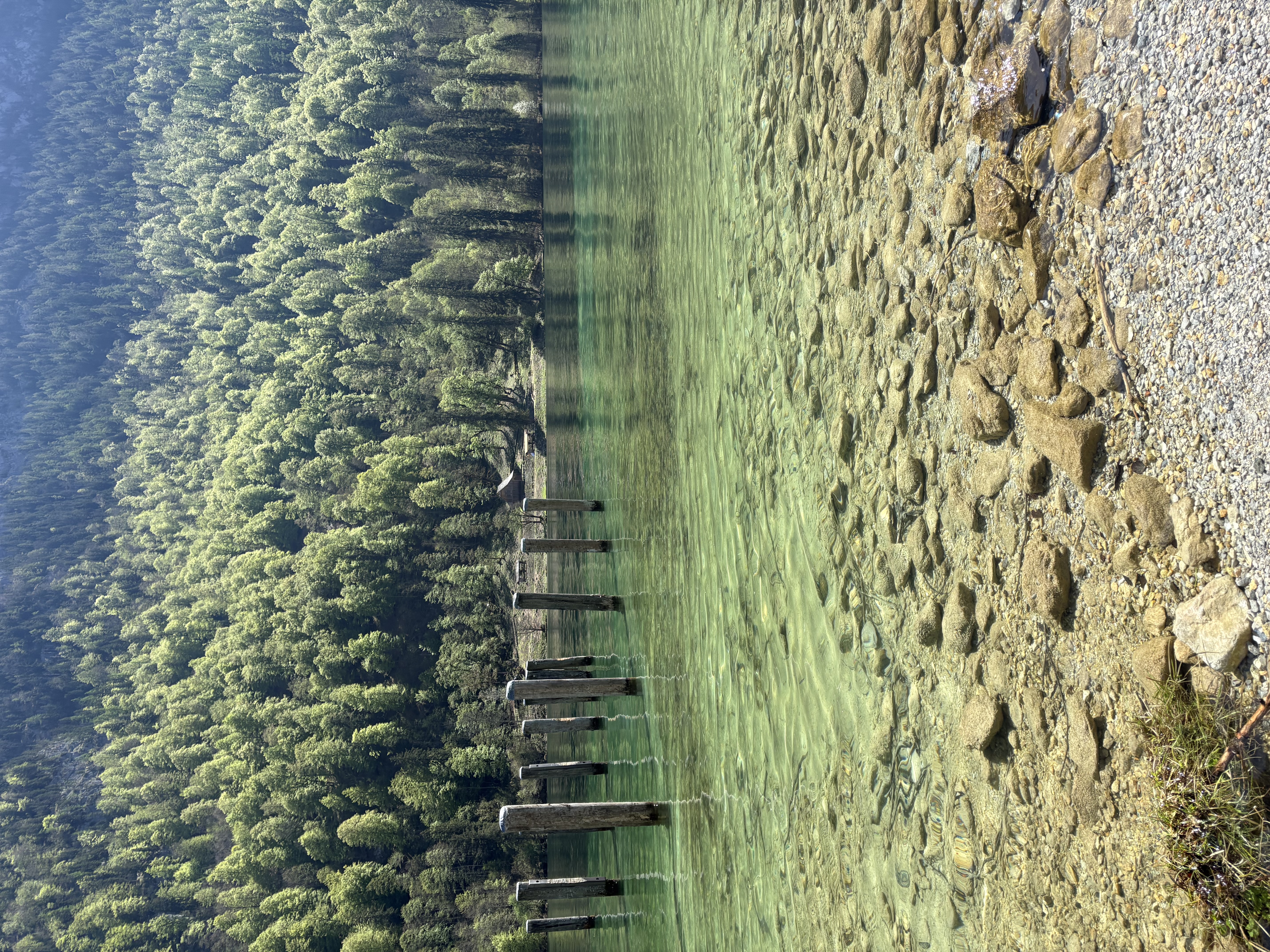 誠真旅行-德瑞15日-婚禮廠商評價